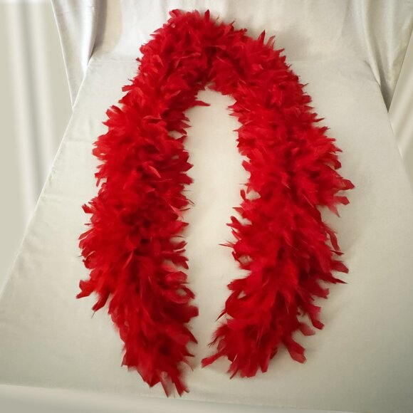 Red Feather Boa - Picture 1 of 3